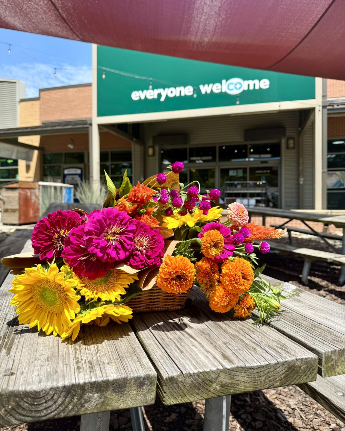 images of flowers for sale July 11, 2025 at the co-op